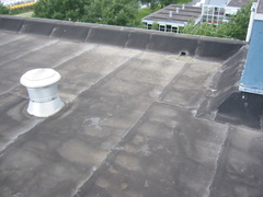 img 0508