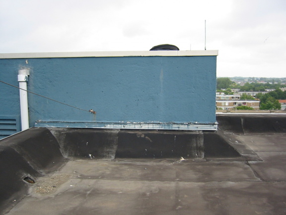 img 0510