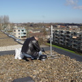 ombouw aster 4