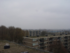 DSC07138