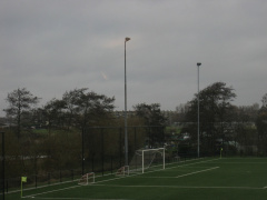 Rijnvogels 6