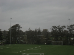 Rijnvogels 9