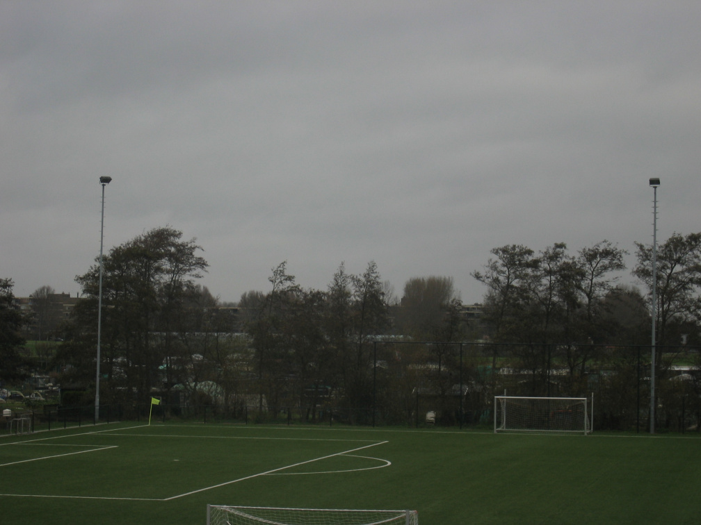 Rijnvogels 9