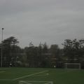 Rijnvogels 9
