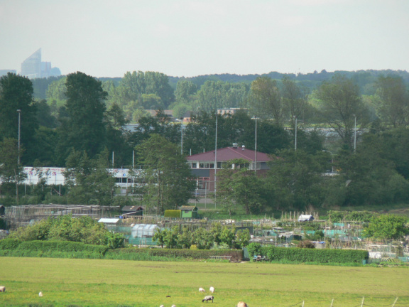 zuid1
