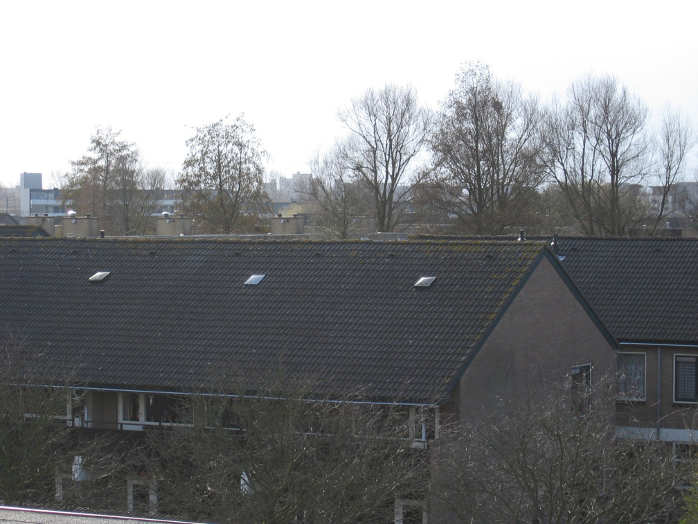 broekplein0019