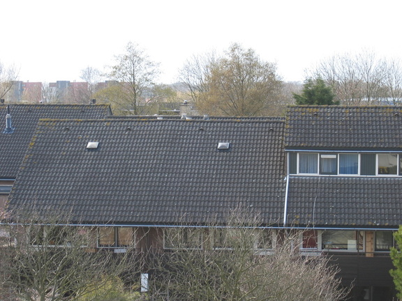 broekplein0020
