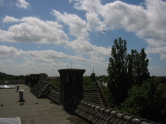 img 0858