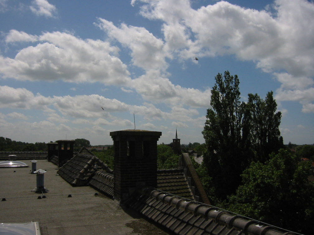 img 0858