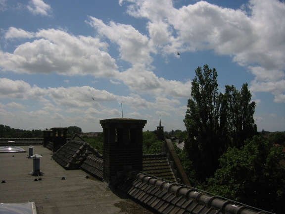 img 0858