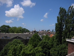 img 0860