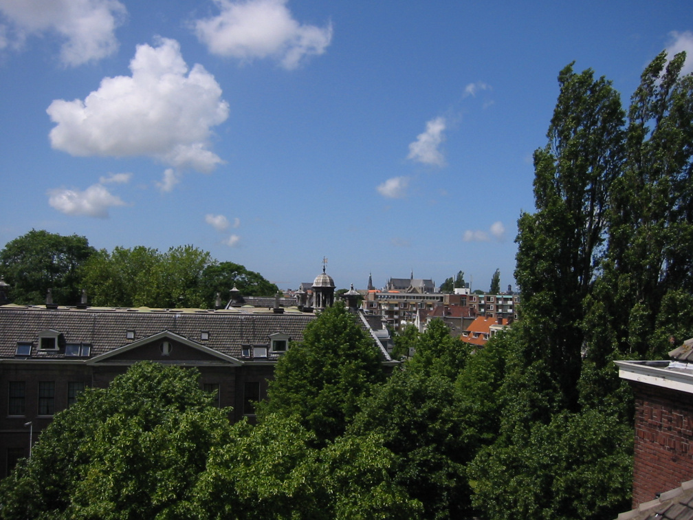img 0860