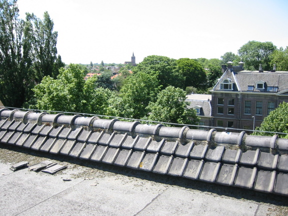 img 0868