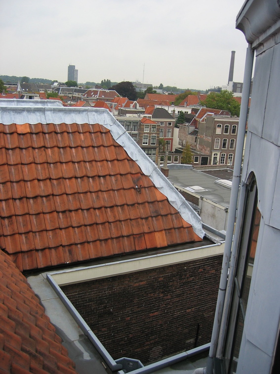 img 7256