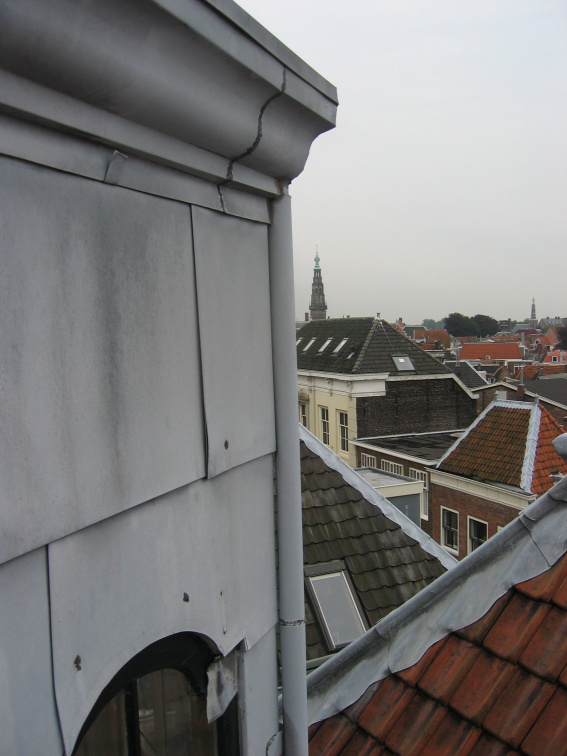 img 7259