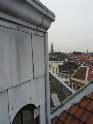 img 7259