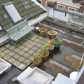 img 7261