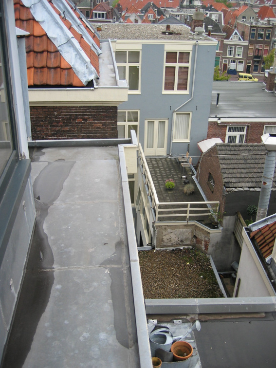 img 7262