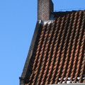 burcht0021