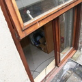 IMG 7752