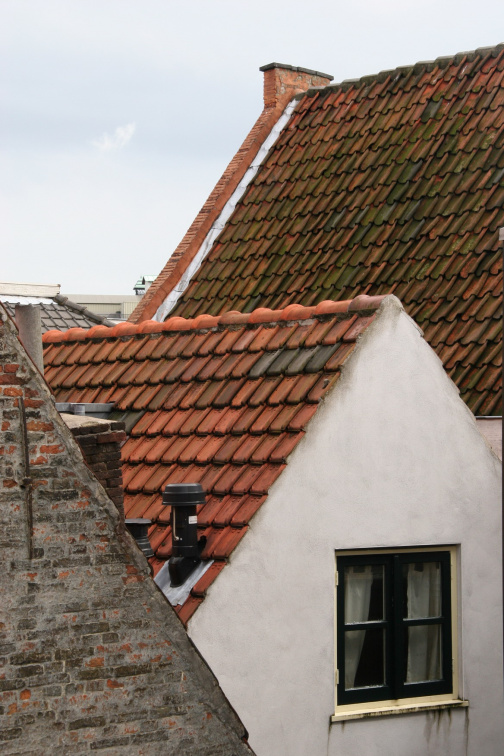 IMG 7763
