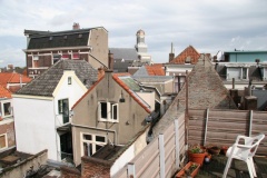IMG 7784