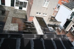 IMG 7785