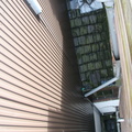 IMG 7794