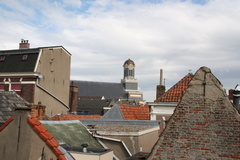 IMG 7800