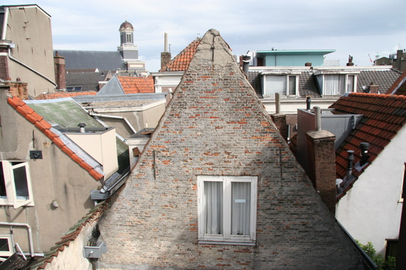 IMG 7801