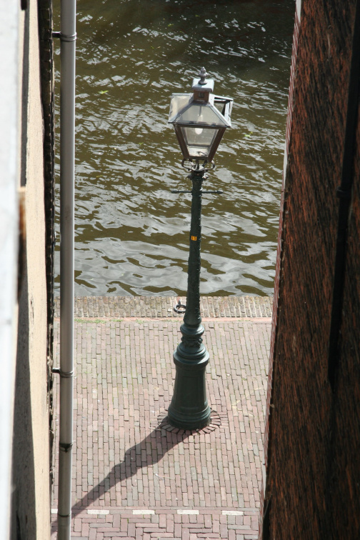 IMG 7806