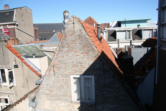 IMG 7852