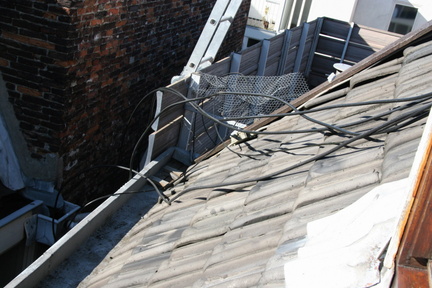 IMG 7867