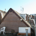 IMG 7875