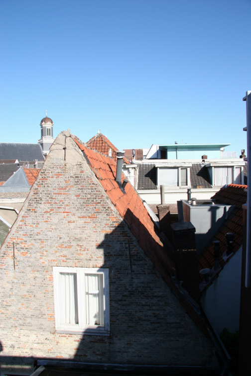 IMG 7877