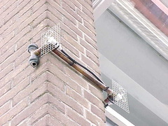 nodeJorg19