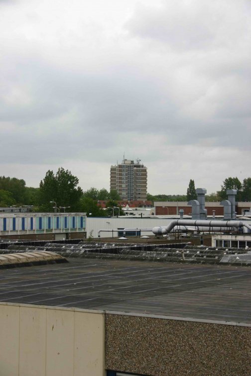 IMG 0815