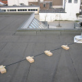 img 0595