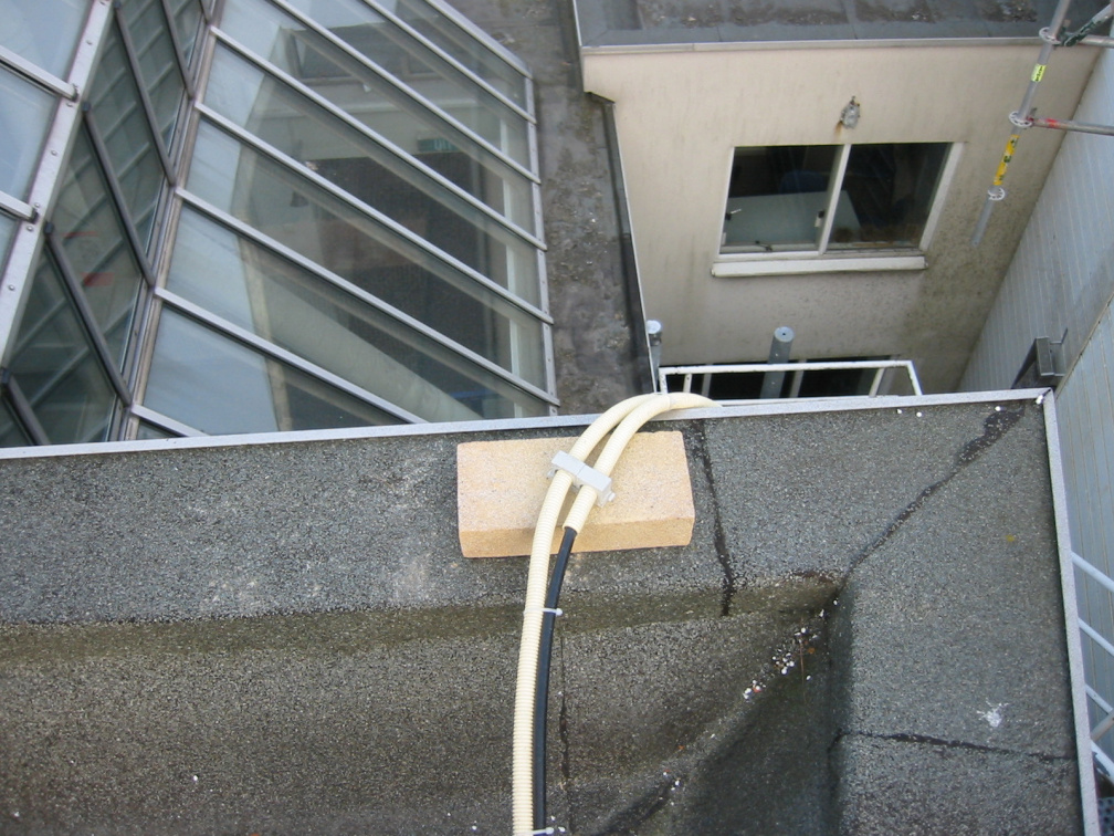 img 0596