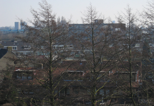 muiderkring57 (73 visits) muiderkring57