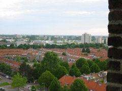 img 0817