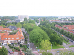 img 0818
