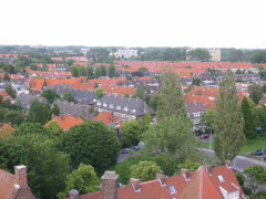 img 0824