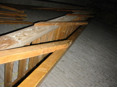 img 0851