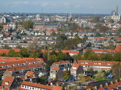 IMG 2551