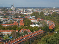 IMG 2552