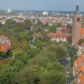 IMG 2553