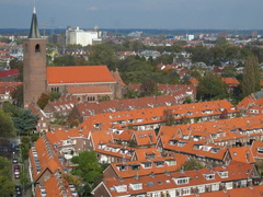 IMG 2554