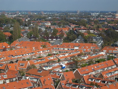 IMG 2555