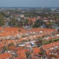 IMG 2555